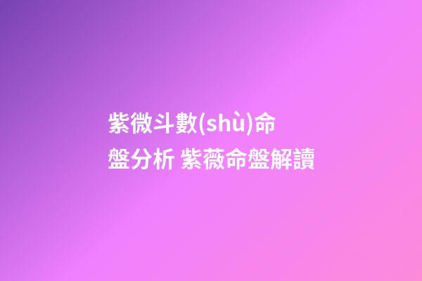 紫微斗數(shù)命盤分析 紫薇命盤解讀